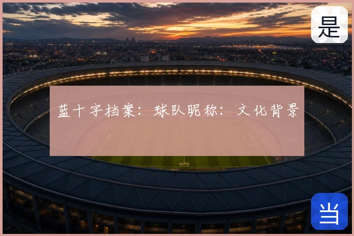 蓝十字档案：球队昵称：文化背景